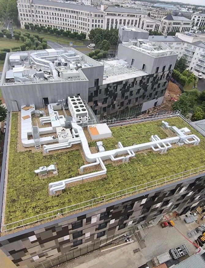 Dak parijs tijdens2_after (1) copy