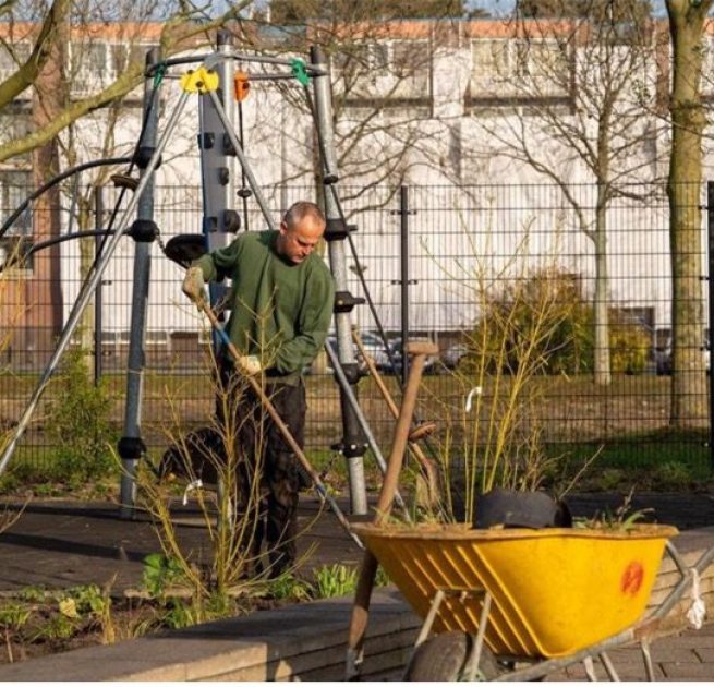 tuinonderhoud