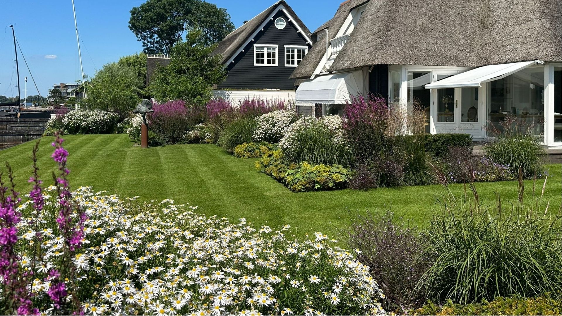 Groene achtertuin