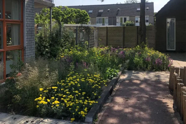 spijkerenprins vergroenen 1